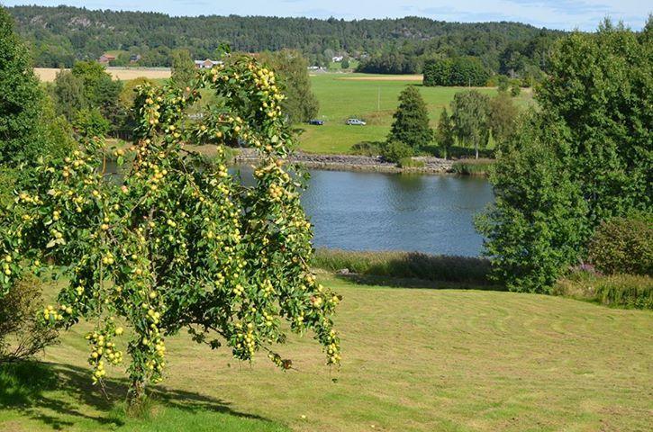 Отель Aelvbacken Vasterlanda Экстерьер фото